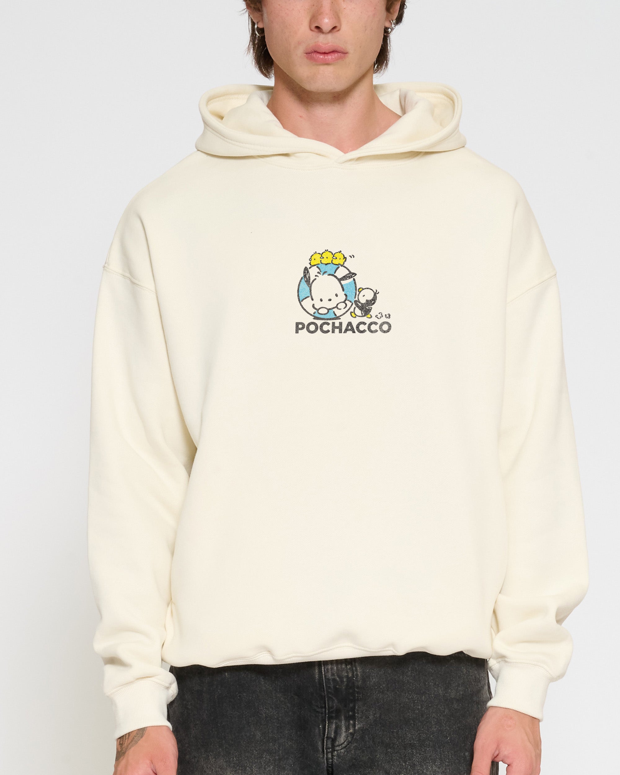 Pochacco Summer Stroll Hoodie Official Hello Kitty and Friends collab Threadheads
