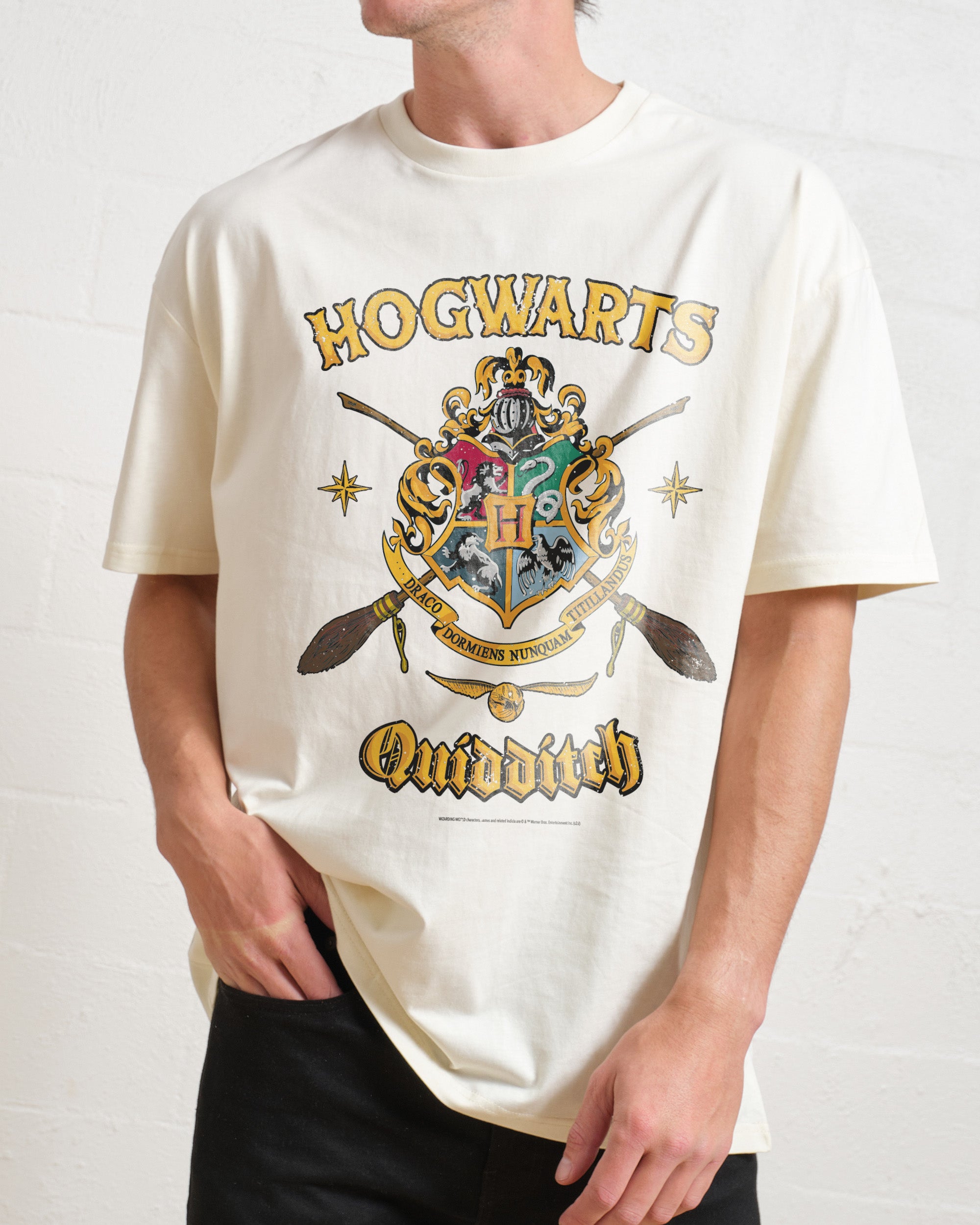 Hogwarts Quidditch Shield T-Shirt