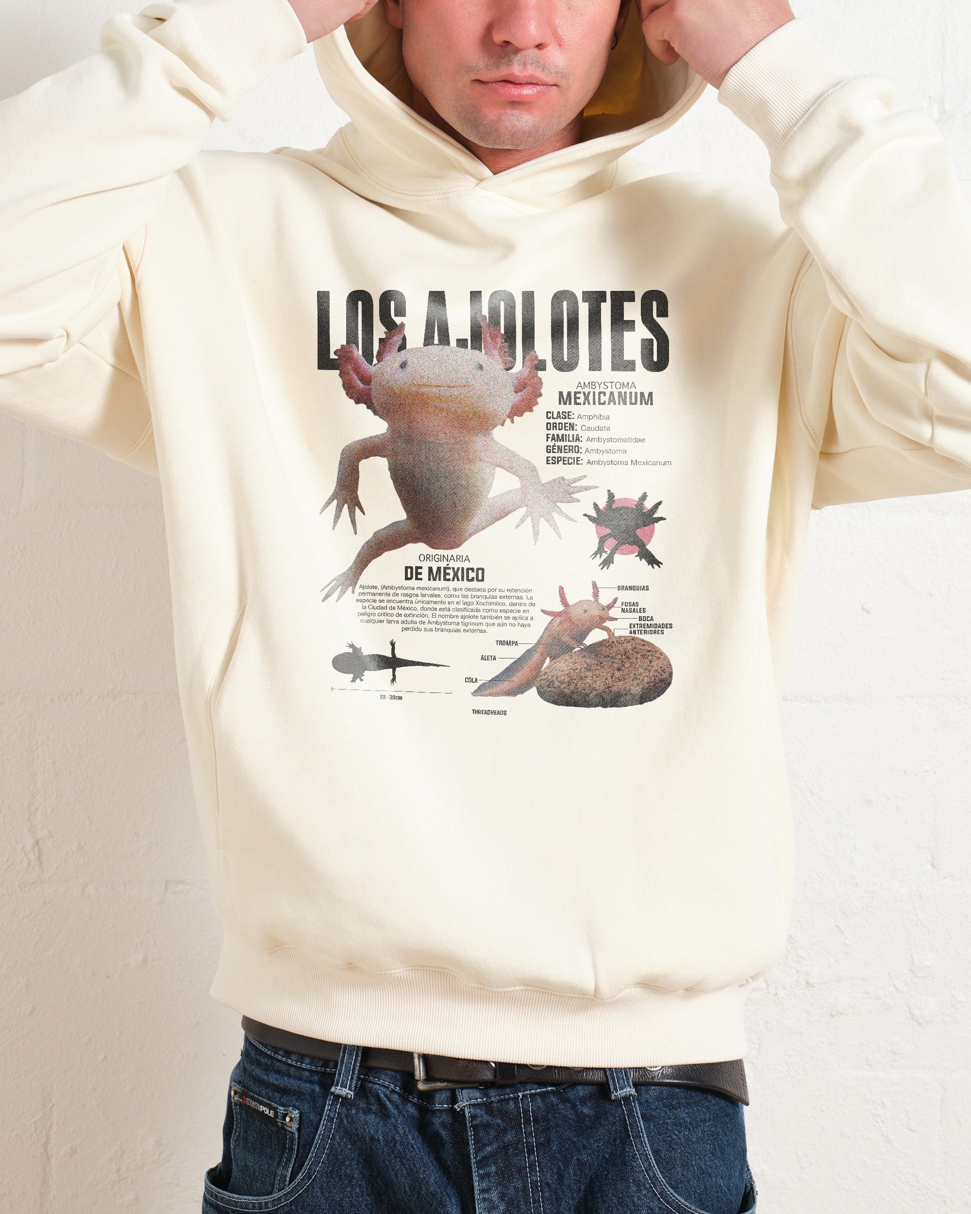 Los Ajolotes Hoodie Australia Online