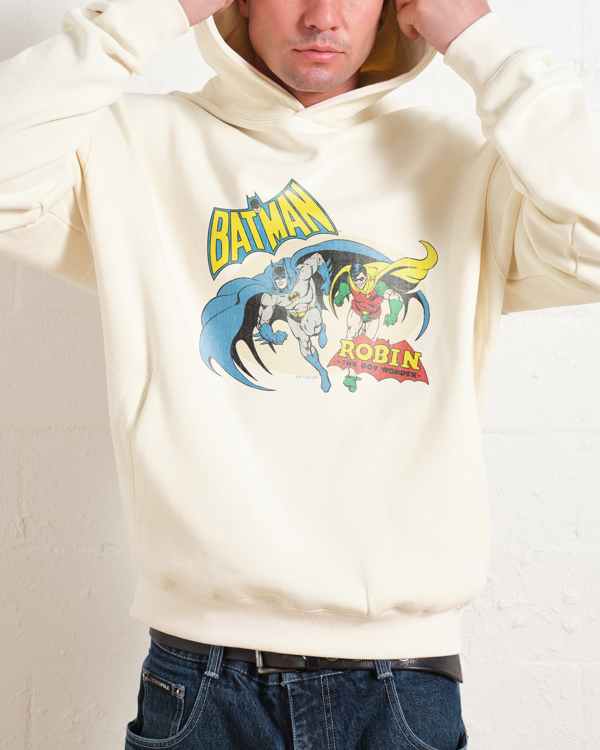 Dc robin hoodie best sale