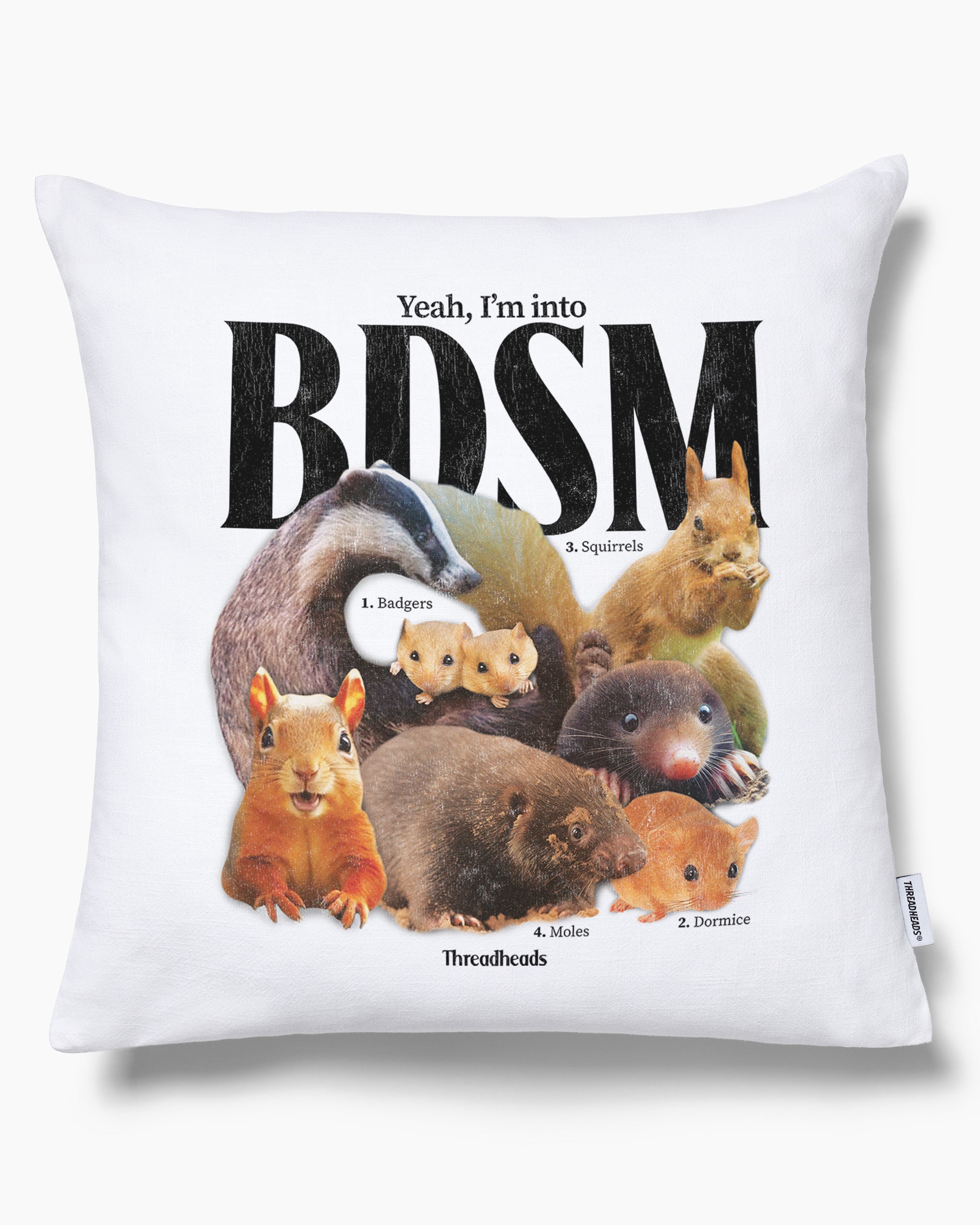 BDSM Cushion