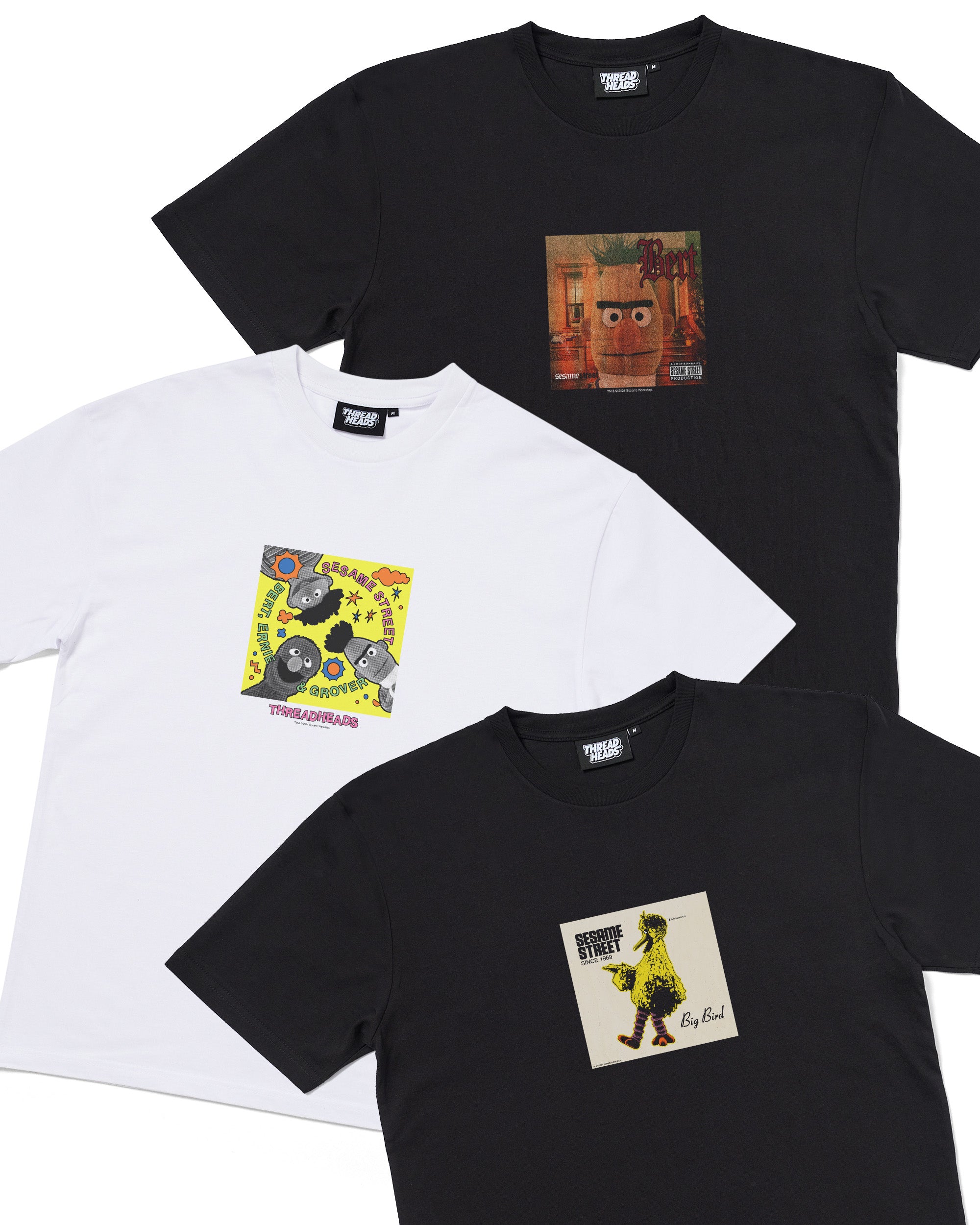 Sesame Street Album 3 Tee Bundle