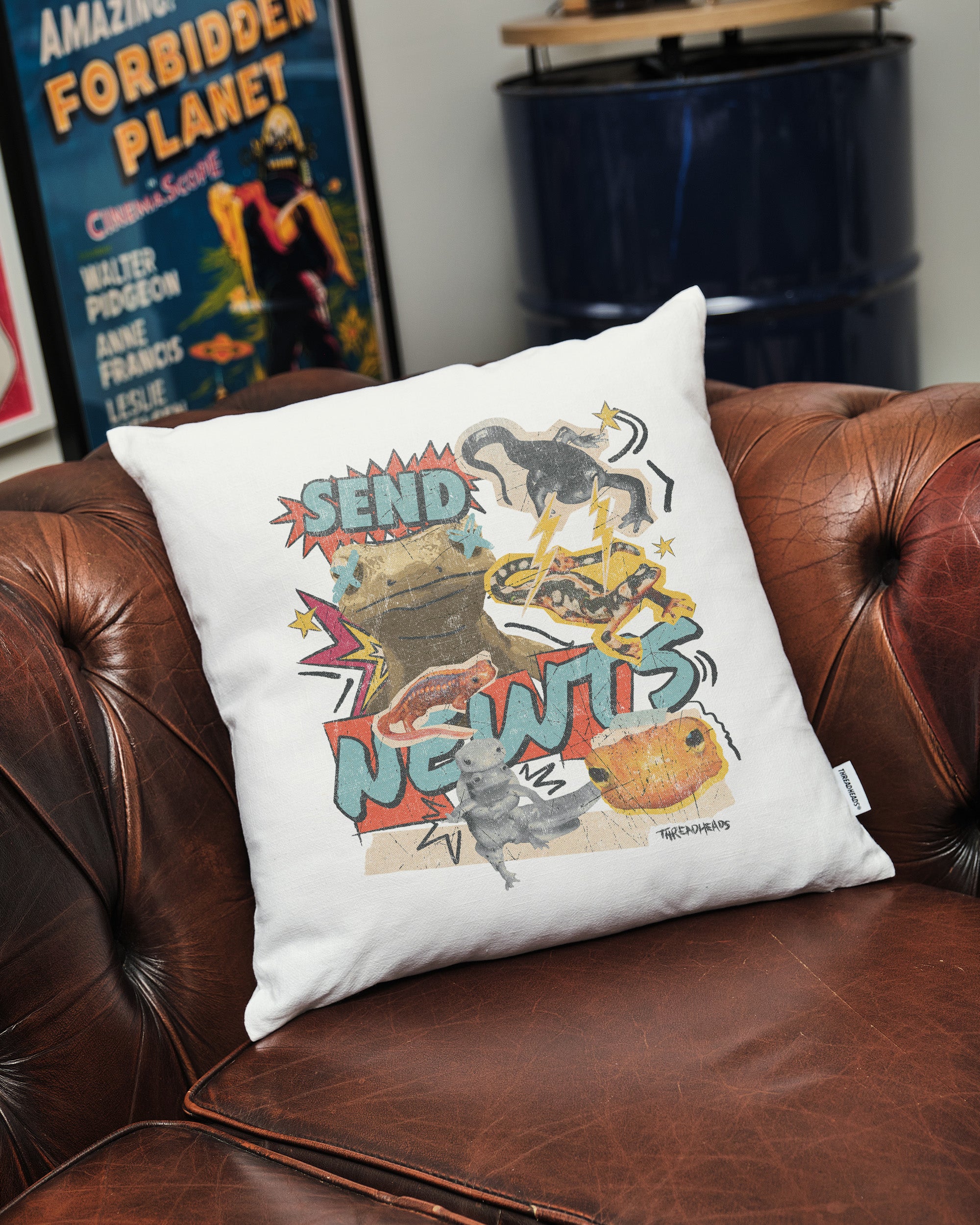 Send Newts Cushion Australia Online