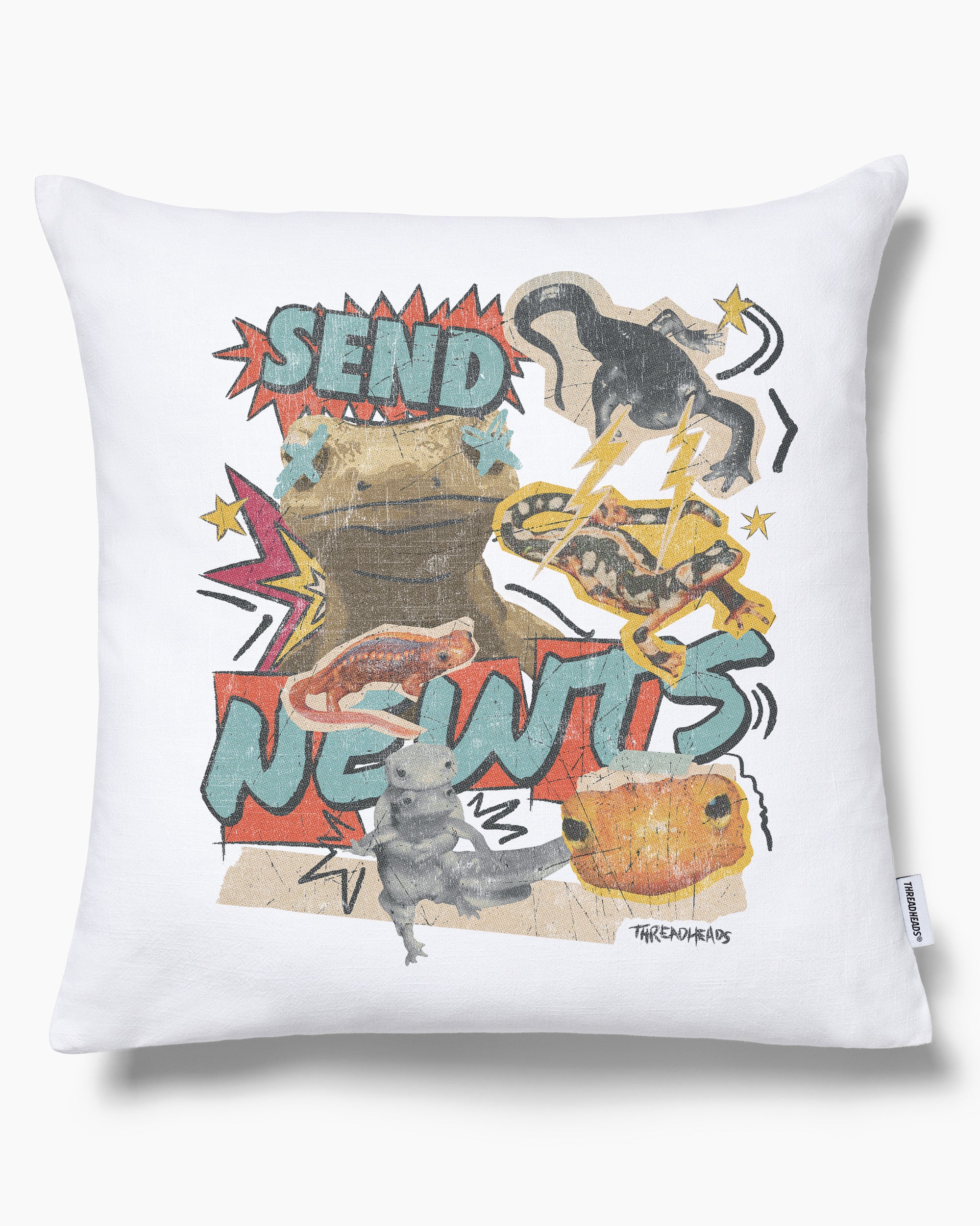 Send Newts Cushion Australia Online