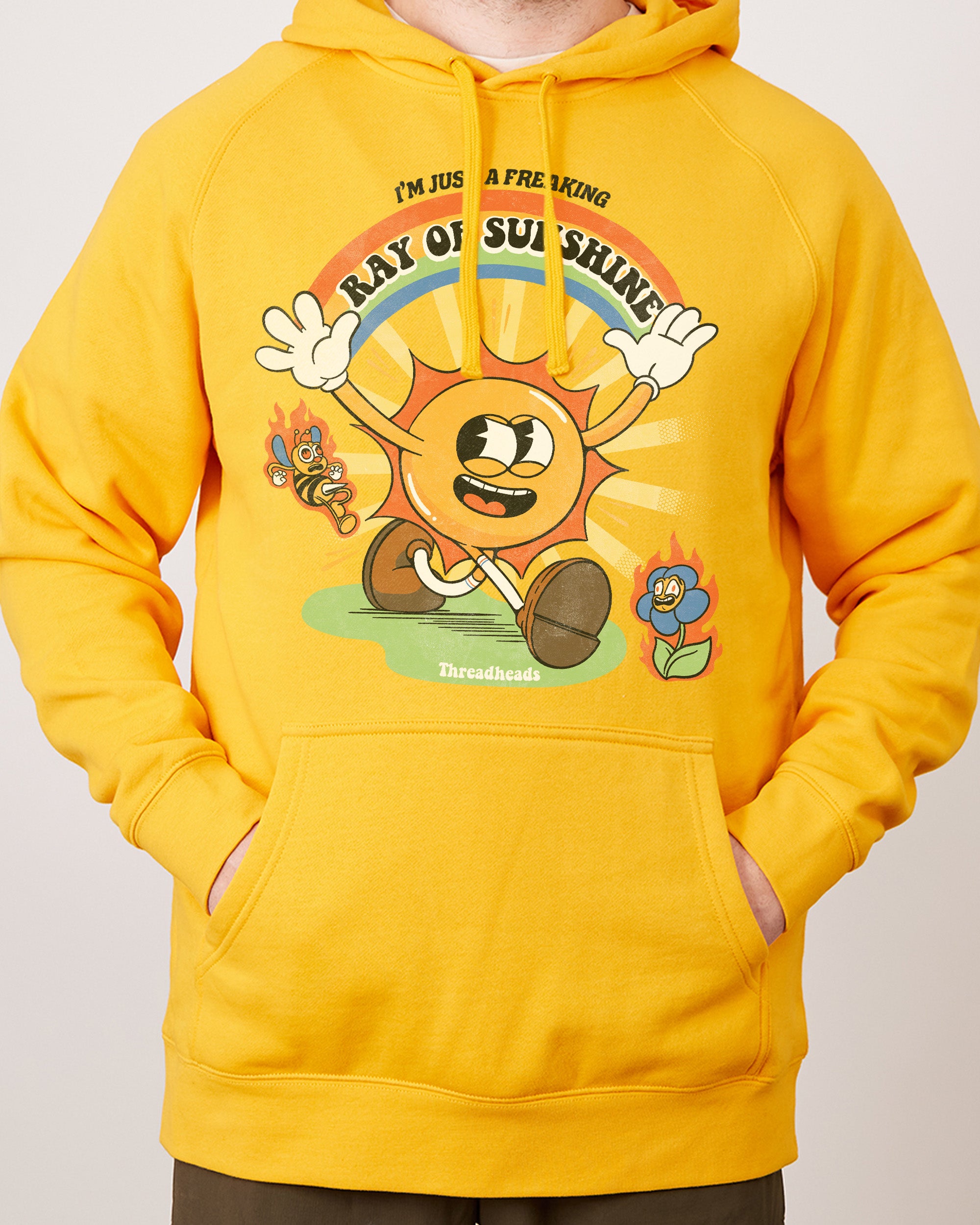I'm Just a Freaking Ray Of Sunshine Hoodie