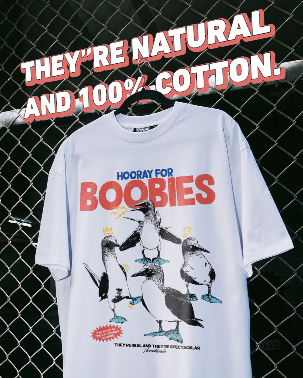 Hooray for Boobies T-Shirt